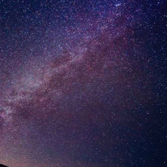 Meet your Posher, Samantha - Picture 1 of 1